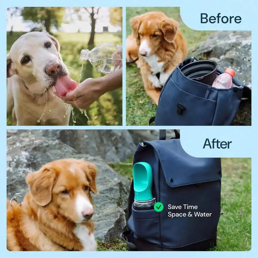 Travel Buddy Pet Water Bottle